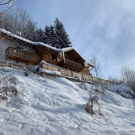 Chalet In Bruck Near Zell Am Slopes